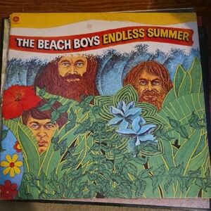 The Beach Boys Endless Summer Vinyl Record